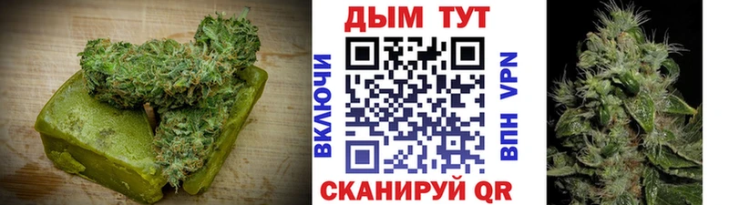 купить наркотик  Советск  MEGA tor  Cannafood конопля 
