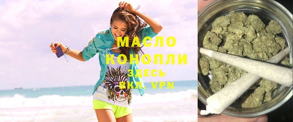 индика Осташков