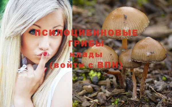 амф Абинск