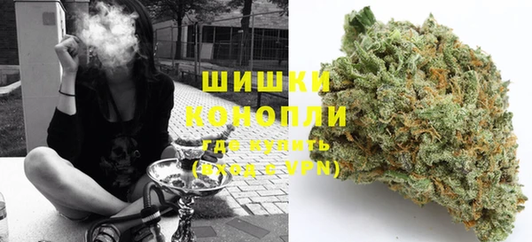 индика Осташков