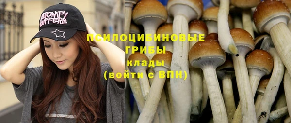 стафф Абаза
