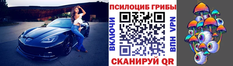 где можно купить   Советск  Псилоцибиновые грибы мухоморы 